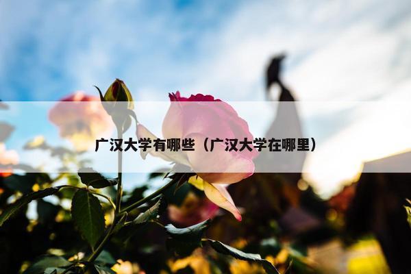 广汉大学有哪些（广汉大学在哪里）