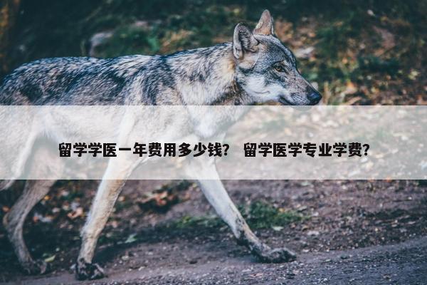 留学学医一年费用多少钱？ 留学医学专业学费？