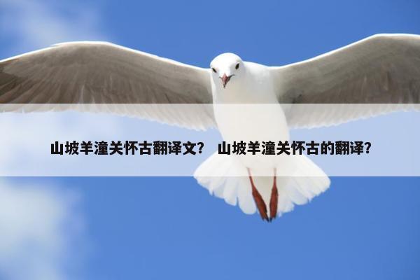 山坡羊潼关怀古翻译文？ 山坡羊潼关怀古的翻译？