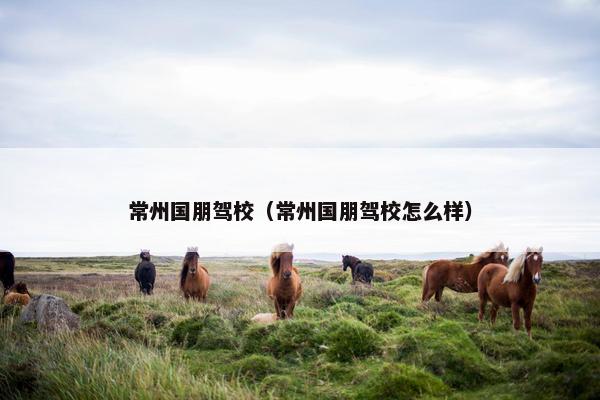 常州国朋驾校（常州国朋驾校怎么样）
