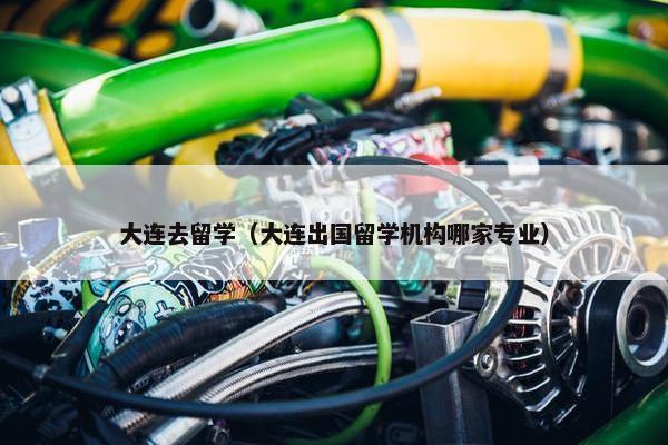 大连去留学（大连出国留学机构哪家专业）