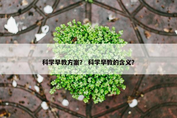 科学早教方案？ 科学早教的含义？