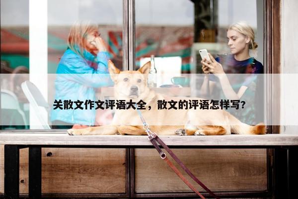 关散文作文评语大全，散文的评语怎样写?