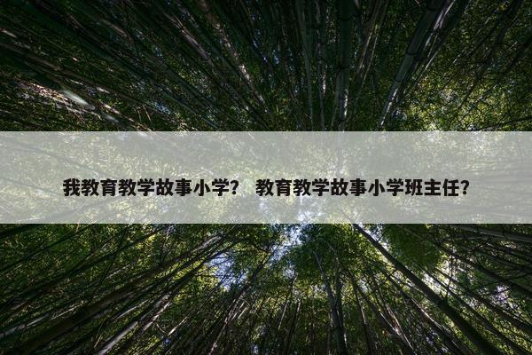 我教育教学故事小学？ 教育教学故事小学班主任？