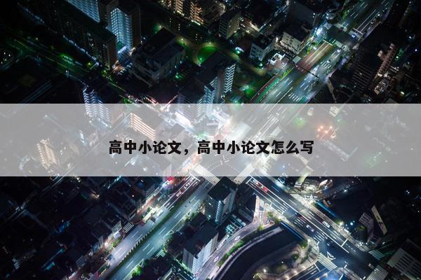 高中小论文，高中小论文怎么写