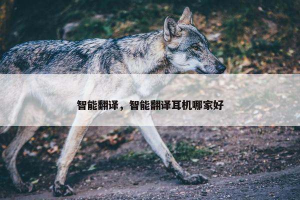 智能翻译，智能翻译耳机哪家好