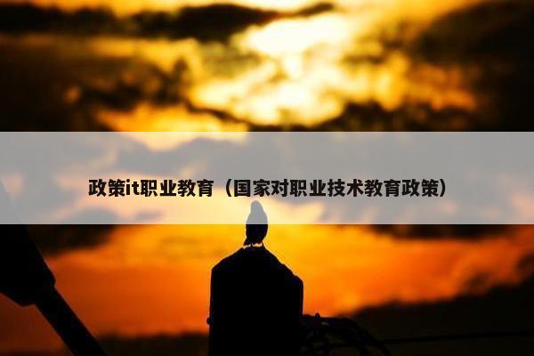 政策it职业教育（国家对职业技术教育政策）