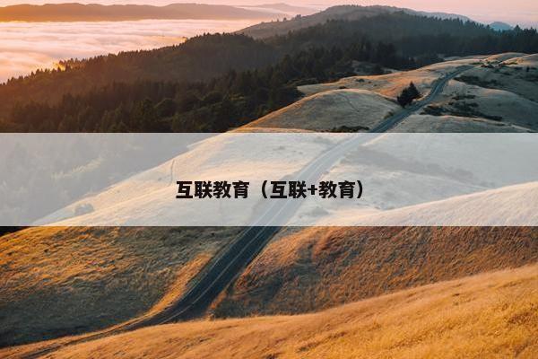 互联教育（互联+教育）