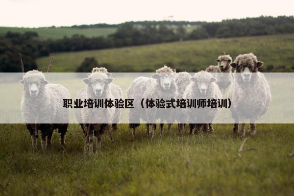 职业培训体验区（体验式培训师培训）