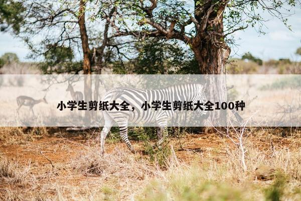 小学生剪纸大全，小学生剪纸大全100种
