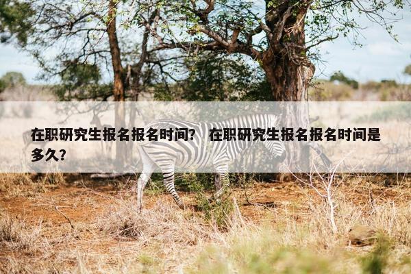 在职研究生报名报名时间？ 在职研究生报名报名时间是多久？