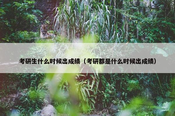 考研生什么时候出成绩（考研都是什么时候出成绩）