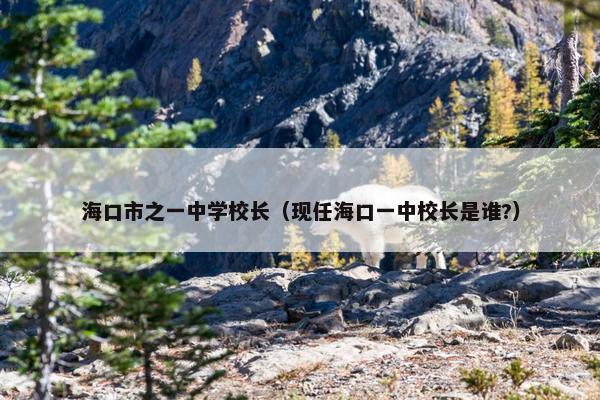 海口市之一中学校长（现任海口一中校长是谁?）