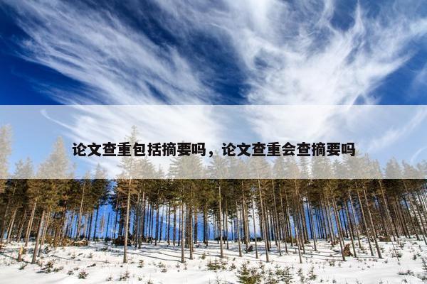 论文查重包括摘要吗，论文查重会查摘要吗