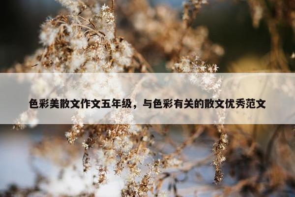 色彩美散文作文五年级，与色彩有关的散文优秀范文