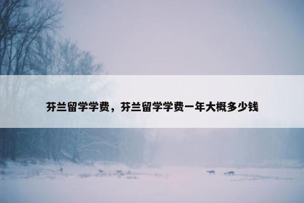 芬兰留学学费，芬兰留学学费一年大概多少钱