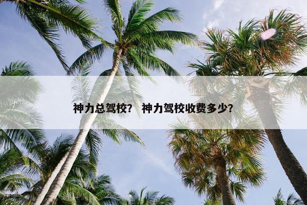 神力总驾校？ 神力驾校收费多少？