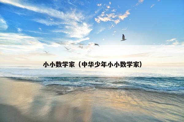 小小数学家（中华少年小小数学家）