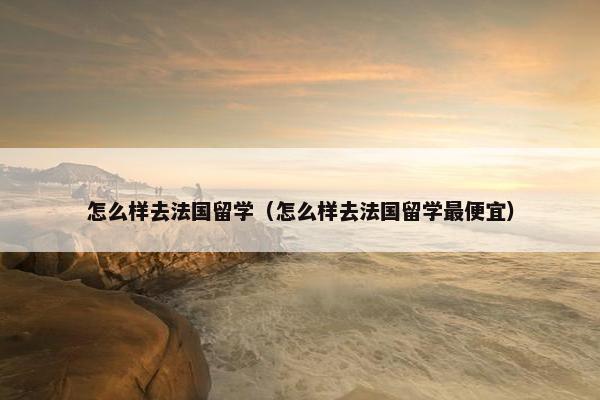 怎么样去法国留学（怎么样去法国留学最便宜）