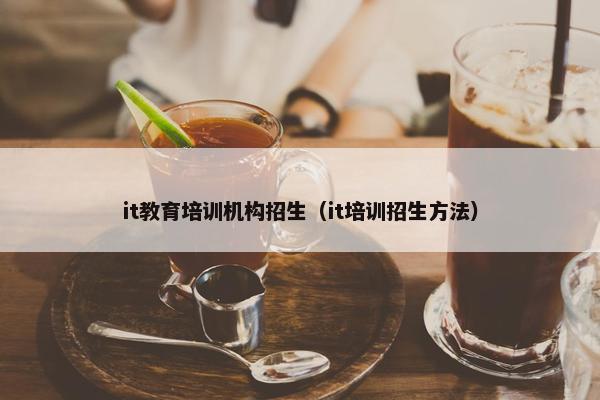 it教育培训机构招生（it培训招生方法）