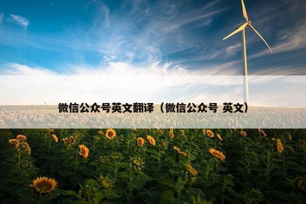 微信公众号英文翻译（微信公众号 英文）