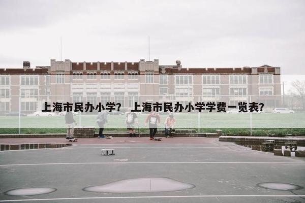 上海市民办小学？ 上海市民办小学学费一览表？