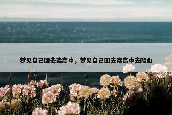 梦见自己回去读高中，梦见自己回去读高中去爬山