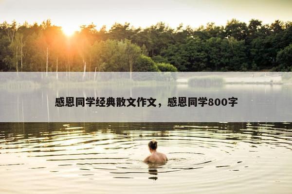 感恩同学经典散文作文，感恩同学800字