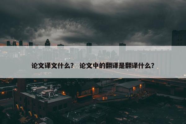 论文译文什么？ 论文中的翻译是翻译什么？