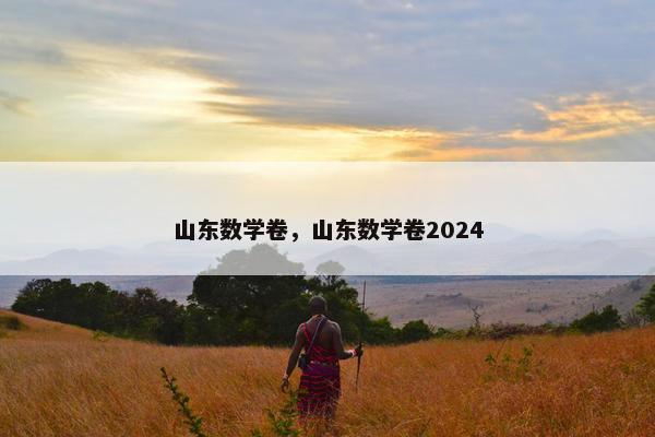 山东数学卷，山东数学卷2024