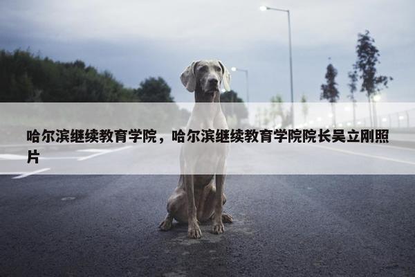 哈尔滨继续教育学院，哈尔滨继续教育学院院长吴立刚照片