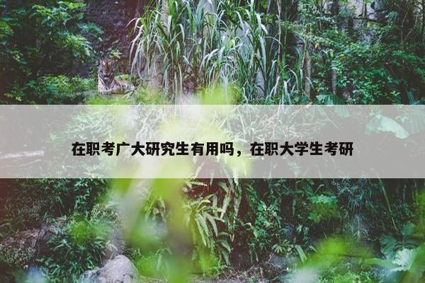 在职考广大研究生有用吗，在职大学生考研