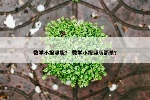 数学小报竖版？ 数学小报竖版简单？