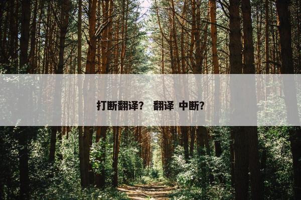 打断翻译？ 翻译 中断？