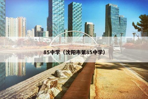 85中学（沈阳市第85中学）
