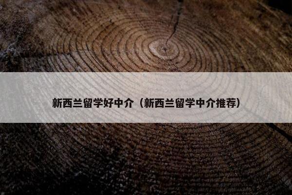 新西兰留学好中介（新西兰留学中介推荐）