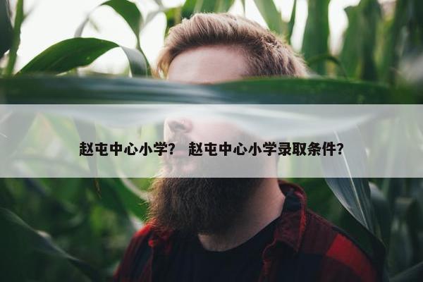 赵屯中心小学？ 赵屯中心小学录取条件？