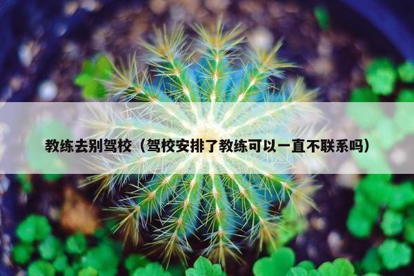教练去别驾校（驾校安排了教练可以一直不联系吗）