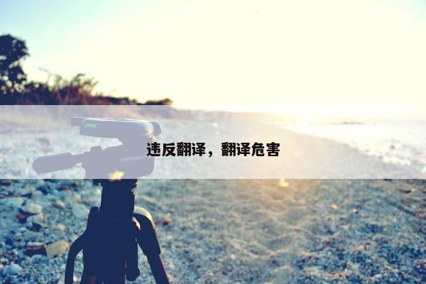 违反翻译，翻译危害