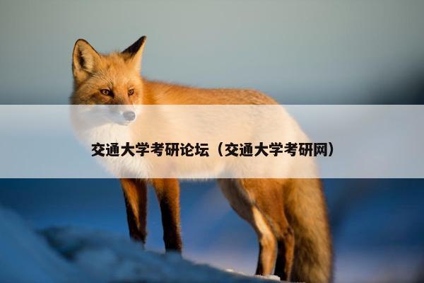 交通大学考研论坛（交通大学考研网）