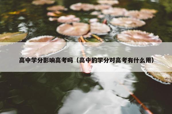 高中学分影响高考吗（高中的学分对高考有什么用）
