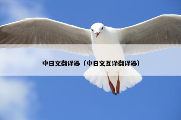中日文翻译器（中日文互译翻译器）