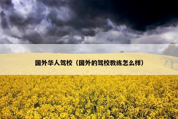 国外华人驾校（国外的驾校教练怎么样）