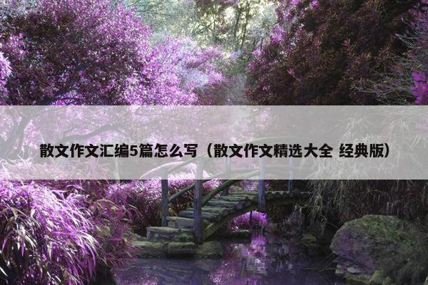 散文作文汇编5篇怎么写（散文作文精选大全 经典版）