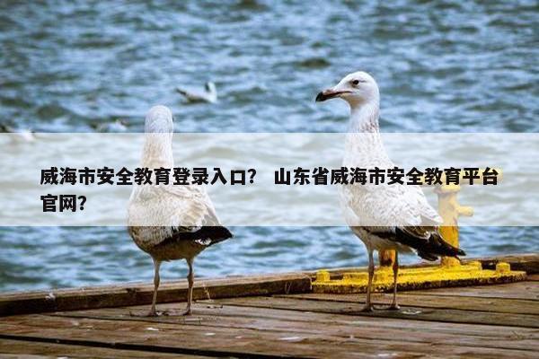 威海市安全教育登录入口？ 山东省威海市安全教育平台官网？
