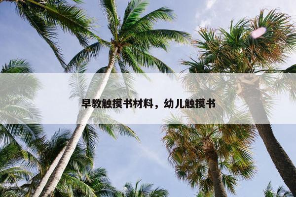 早教触摸书材料，幼儿触摸书
