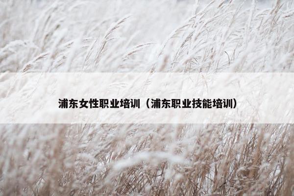 浦东女性职业培训（浦东职业技能培训）