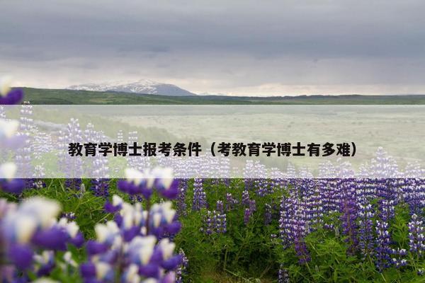 教育学博士报考条件（考教育学博士有多难）