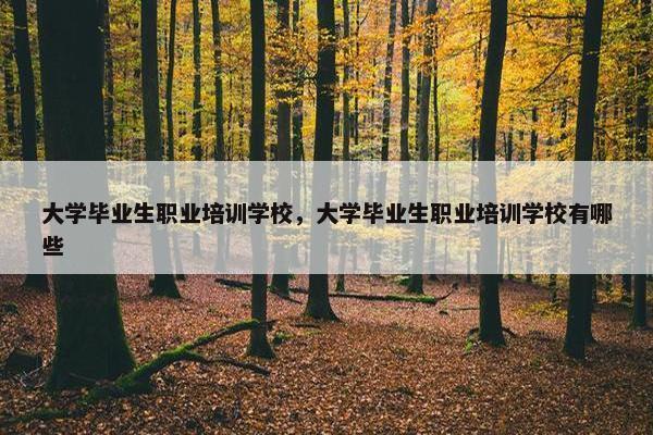 大学毕业生职业培训学校，大学毕业生职业培训学校有哪些