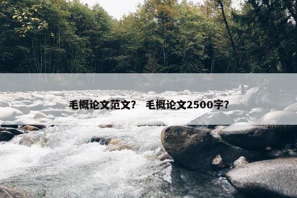 毛概论文范文？ 毛概论文2500字？